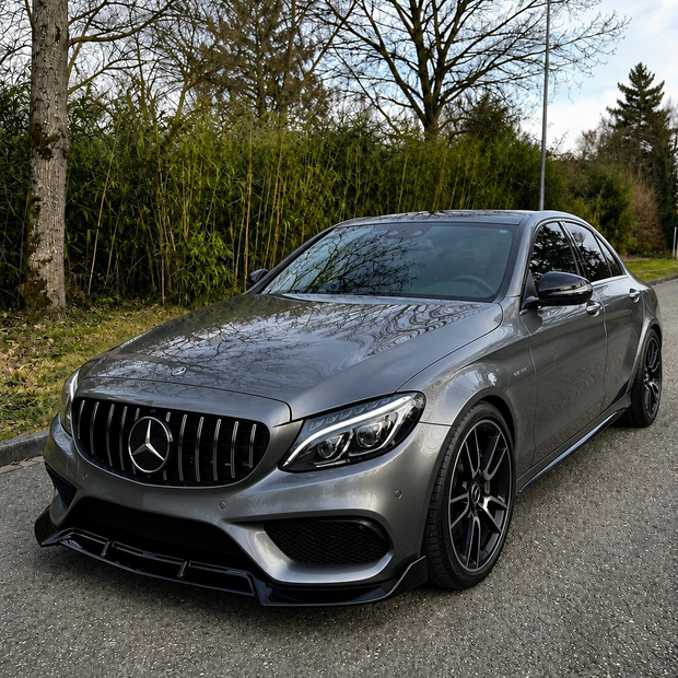 Mercedes C-Class W205/S205/C205/A205 Pre-Facelift Panamericana Grille (2014-2018)