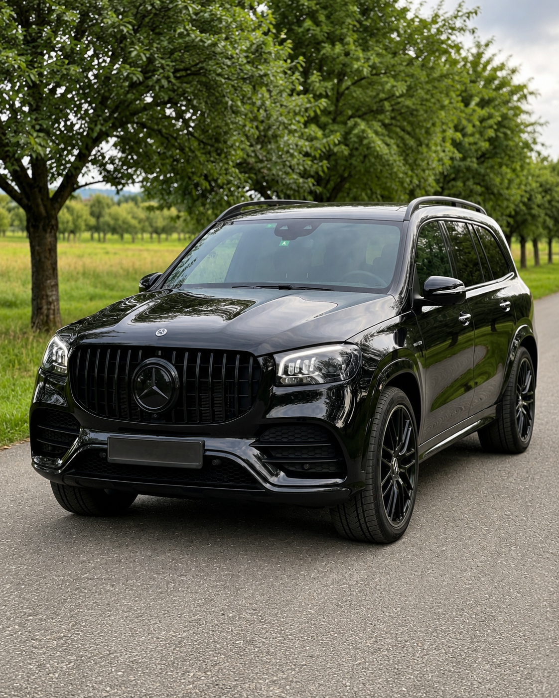 Mercedes GLS X167 Pre-Facelift Black Panamericana Grille (2019-2023)
