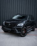 Mercedes ML W166 Panamericana Grille Pre-Facelift (2011-2015)